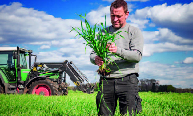 Agriculture ©Fotolia