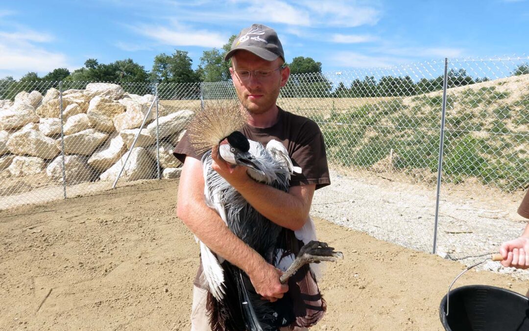 Un job dating au Parc des Oiseaux