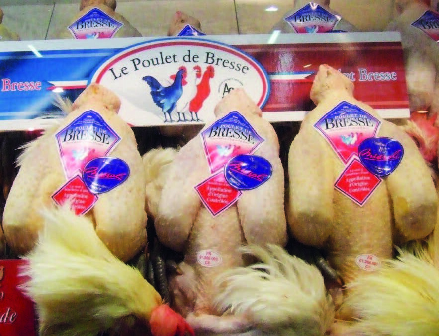 La volaille de Bresse, bec et ongles