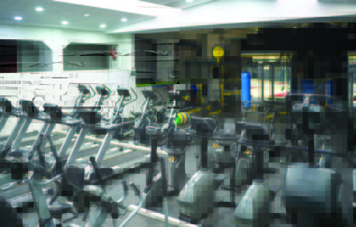 Salle de sport ©Adobe Stock