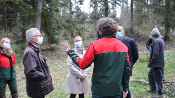 Visite Draaf et préfecture sur chantier ONF forêt, bois - Photo préfecture de l'Ain