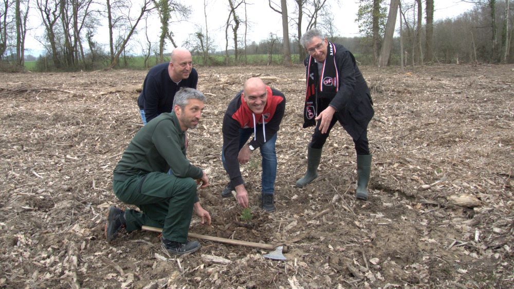 Deux hectares reboisés grâce à Fermob