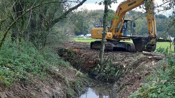 Des travaux sur la Vallière à Ceyzériat, par le syndicat Reyssouze et Affluents