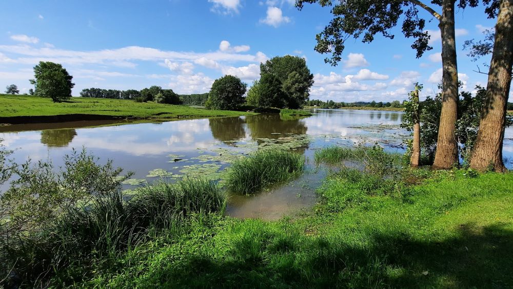 L’eau : une ressource vitale mais dégradée