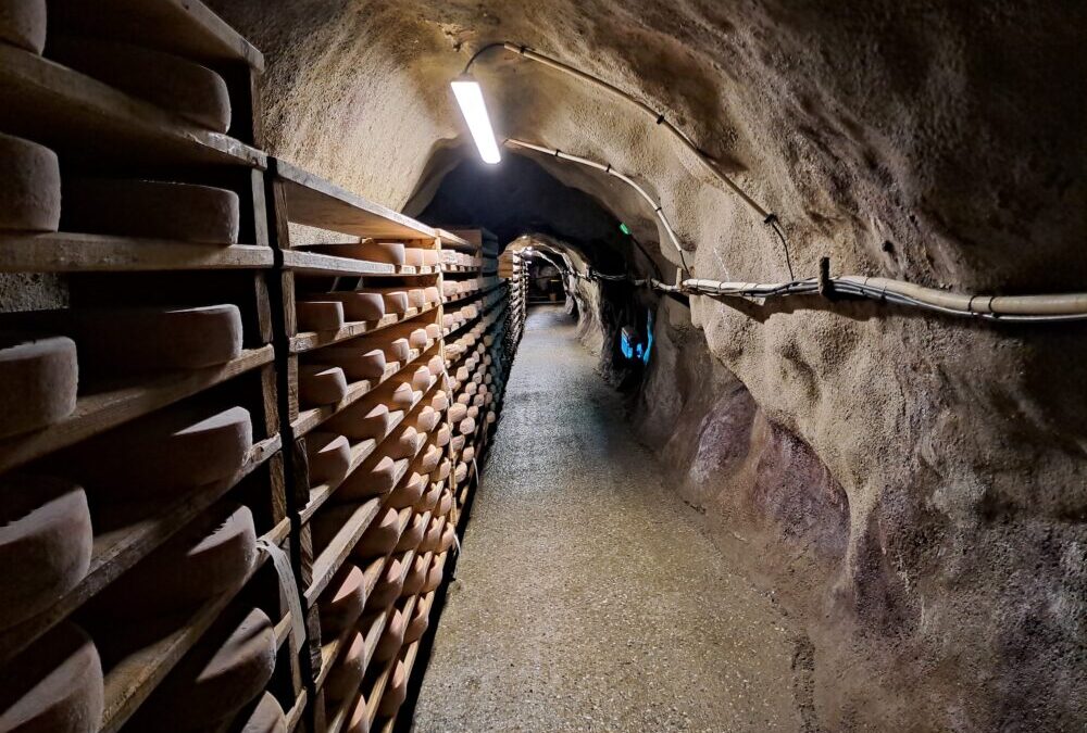 Les Caves d&rsquo;affinage de Savoie s&rsquo;ouvrent aux Journées du patrimoine