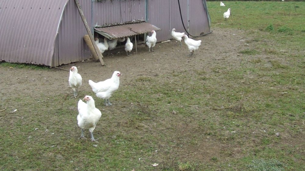 Les futurs de l’agriculture aindinoise