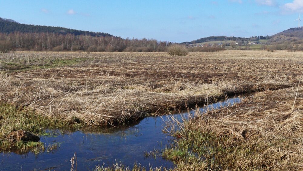 Biodiversité : le Haut-Bugey et ses zones humides