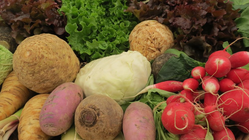 Ain : le défi logistique d&rsquo;une alimentation locale