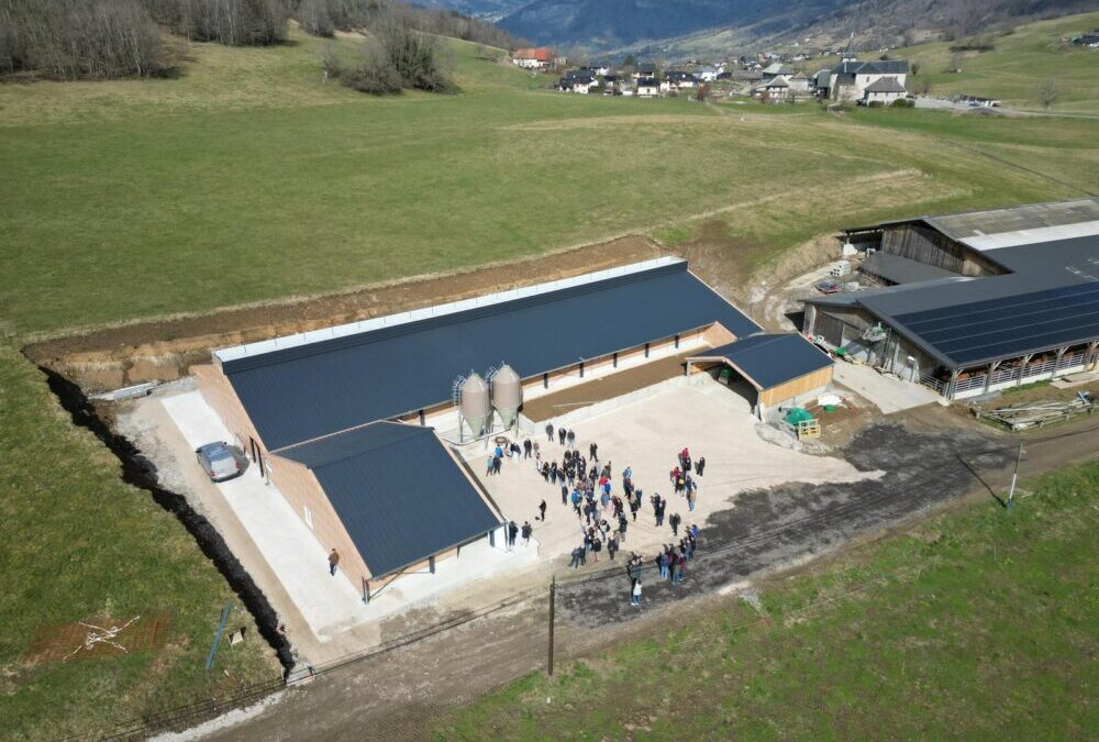 Les Rousses du Miradou : un Gaec plein comme un œuf