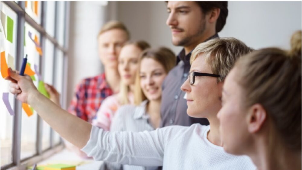 Les sociétés coopératives séduisent toujours plus