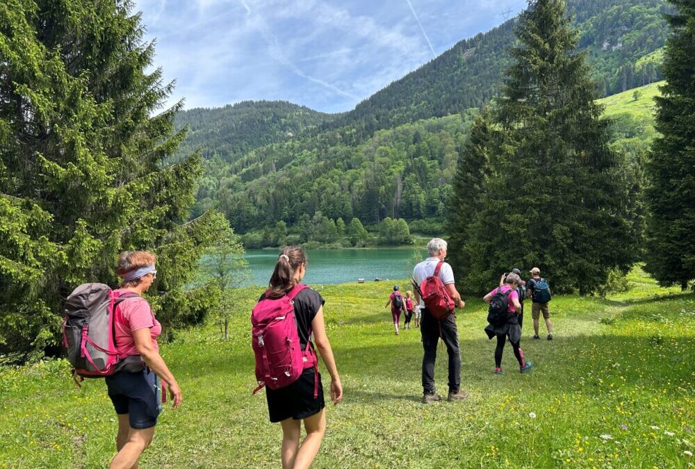 Une année 2024 record pour Groupama