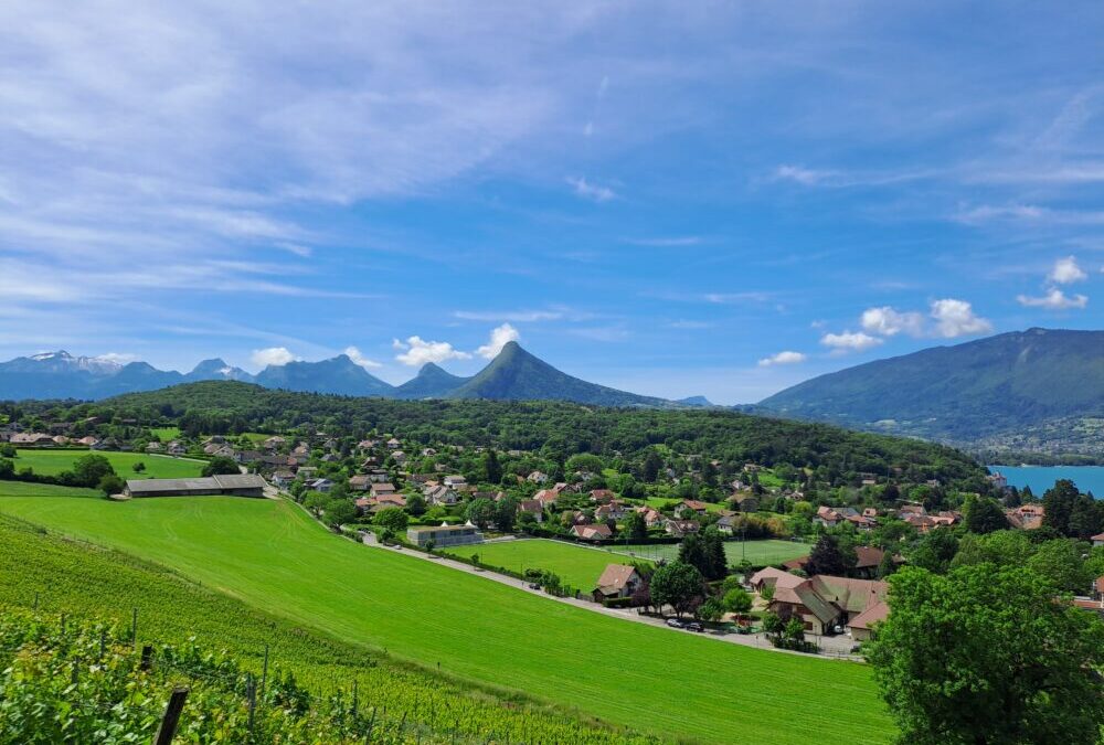 Grand Annecy : un plan local d&rsquo;urbanisme intercommunal très contesté