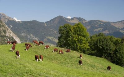 Elan de solidarité pour les agriculteurs en détresse