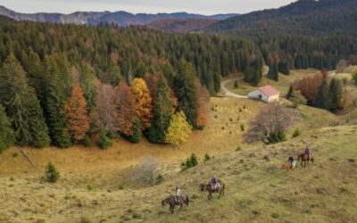 Lifestyle : parenthèse équestre au cœur du Haut Jura