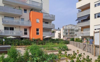 Logement : le Parc des Toriolets s’achève à Meythet (74)