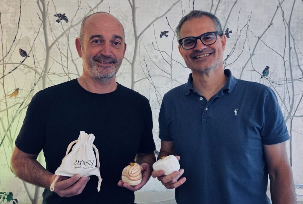 Emocy, une pierre dans le jardin des émotions