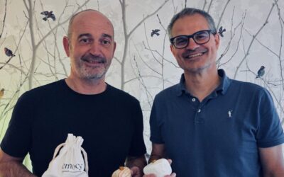 Emocy, une pierre dans le jardin des émotions