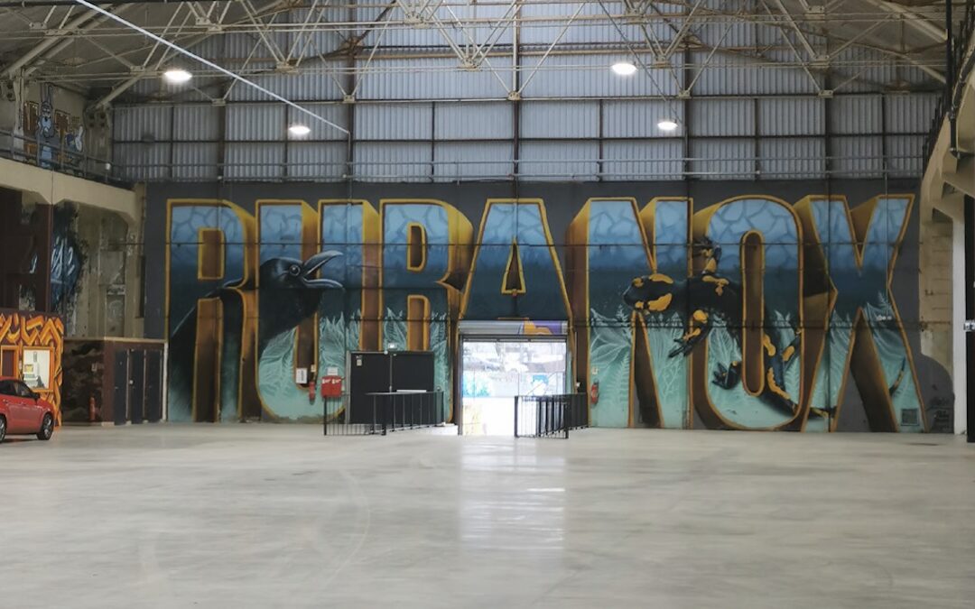 Rubanox : la reconversion approche