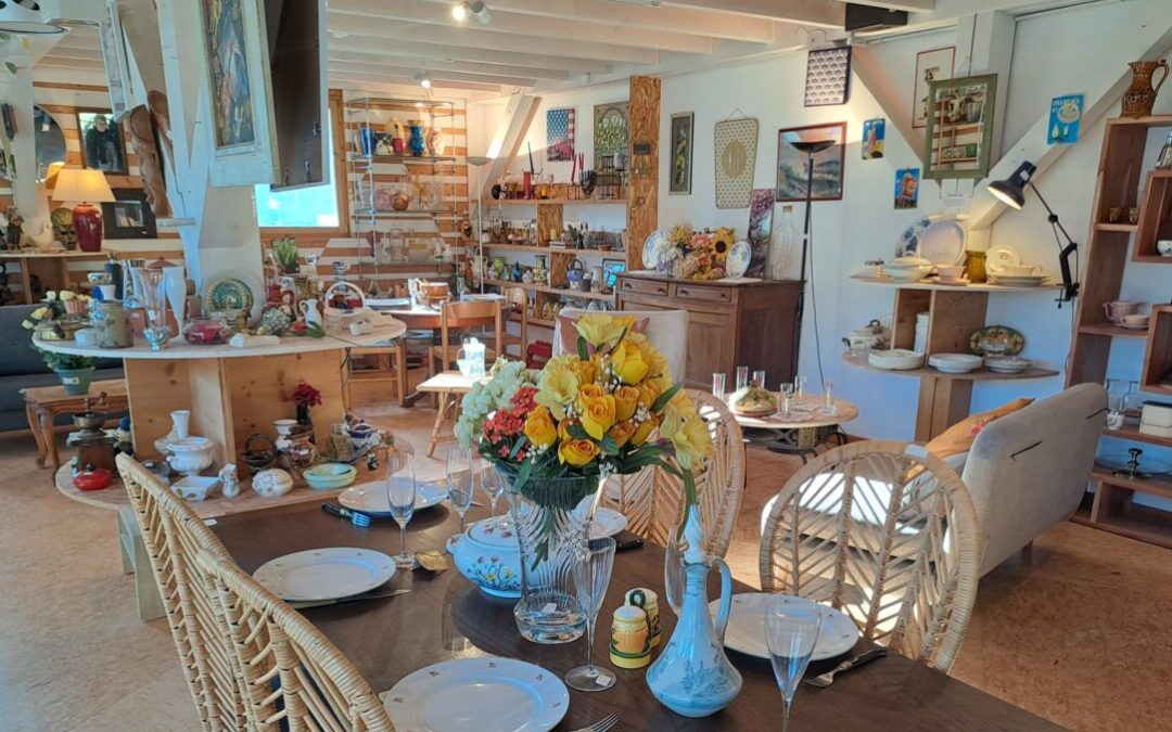 Association : Solal, entre projets et nouvelle stratégie