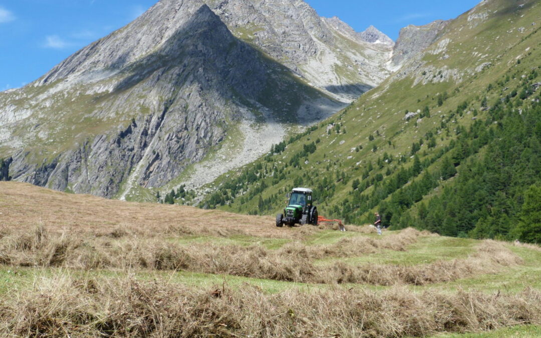Dérèglement climatique : les agriculteurs de Maurienne tournés vers l’avenir