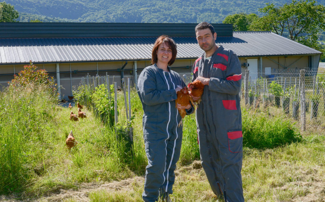 Œufs et volailles Pays de Savoie : une marque bien pondue