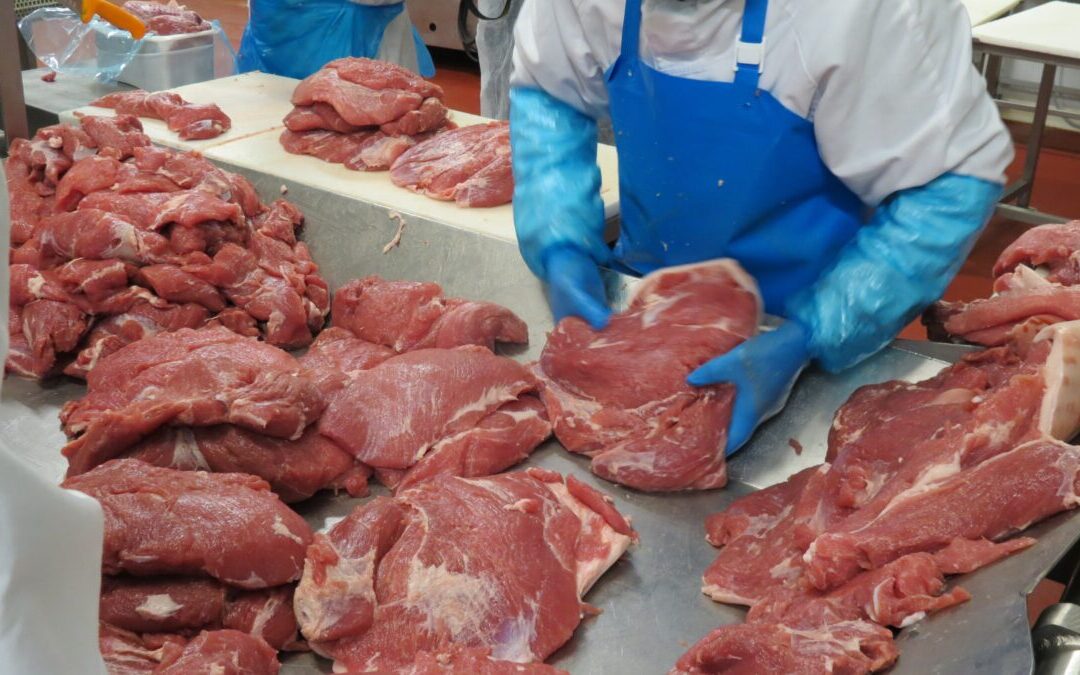 Réglementation : menace sur la filière porcine