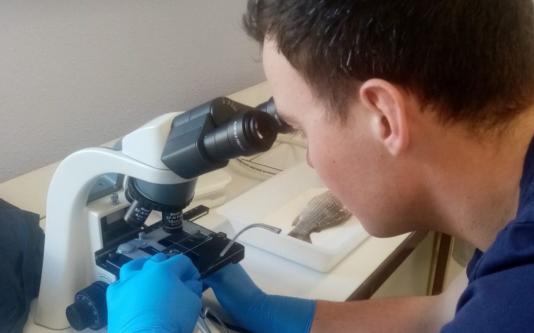 Pisciculture en Dombes : l’Apped forme aux maladies des poissons