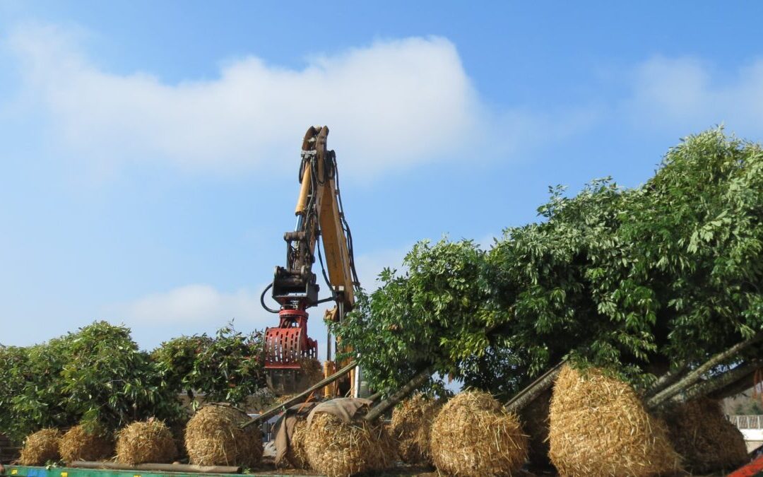 Ain : les Pépinières Soupe ont 45 ans d’avance