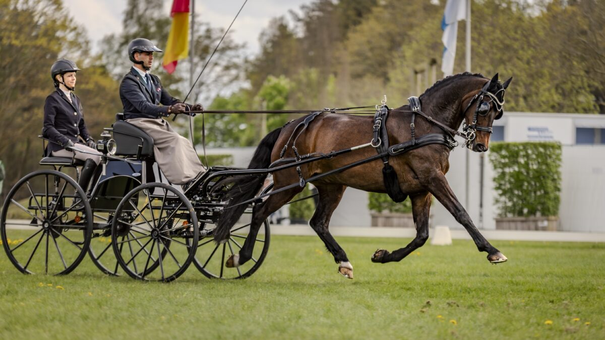 Tony Écalle, sa coéquipière Julie Nauche et son cheval Kensington. © Jeanne Tornier