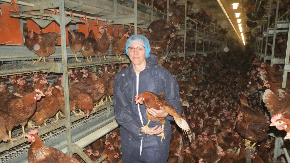 Audrey Poncet, directrice de Bresse Œufs Production,  dans un bâtiment où 30 000 poules pondent 29 000 œufs par jour.