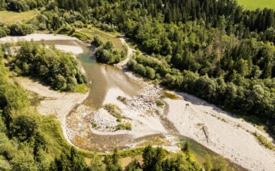 Sénat : un rapport qui éclabousse les agences de l&rsquo;eau