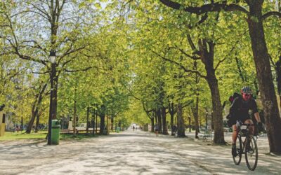 Suisse : des cartes pour guider la végétalisation urbaine