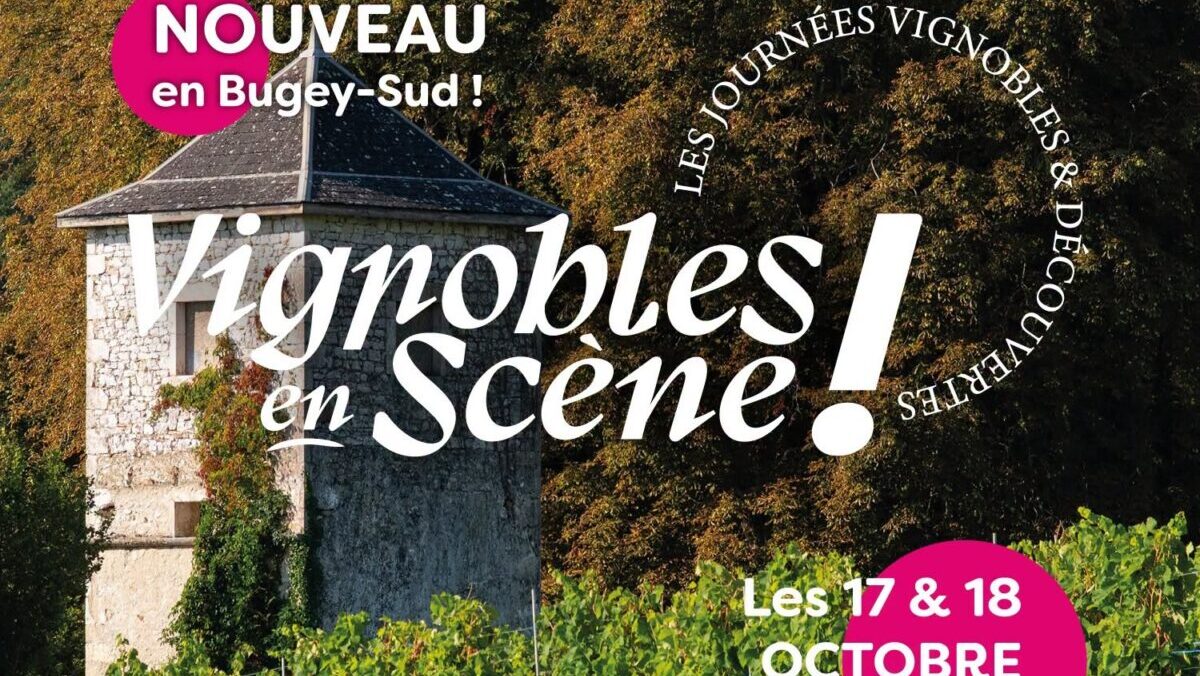 Affiche vignobles en scène.